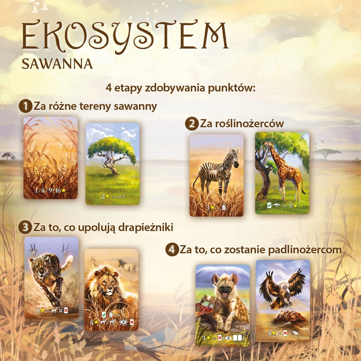 Ekosystem 3 Sawanna Gra Planszowa Rodzinna 8+ Nasza Księgarnia_4