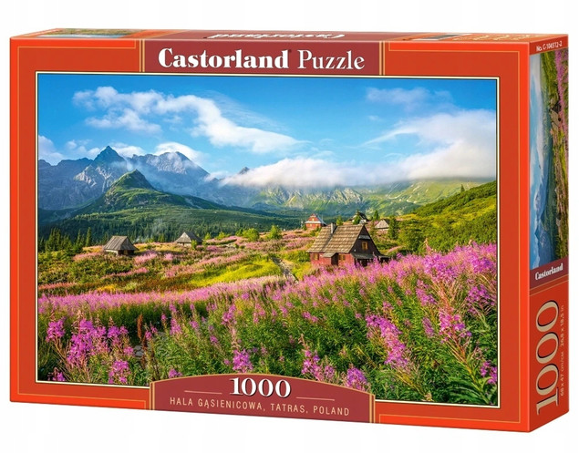 Puzzle 1000 Układanka Krajobraz Widok Góry HALA GĄSIENICOWA Tatry 9+ Castor_2