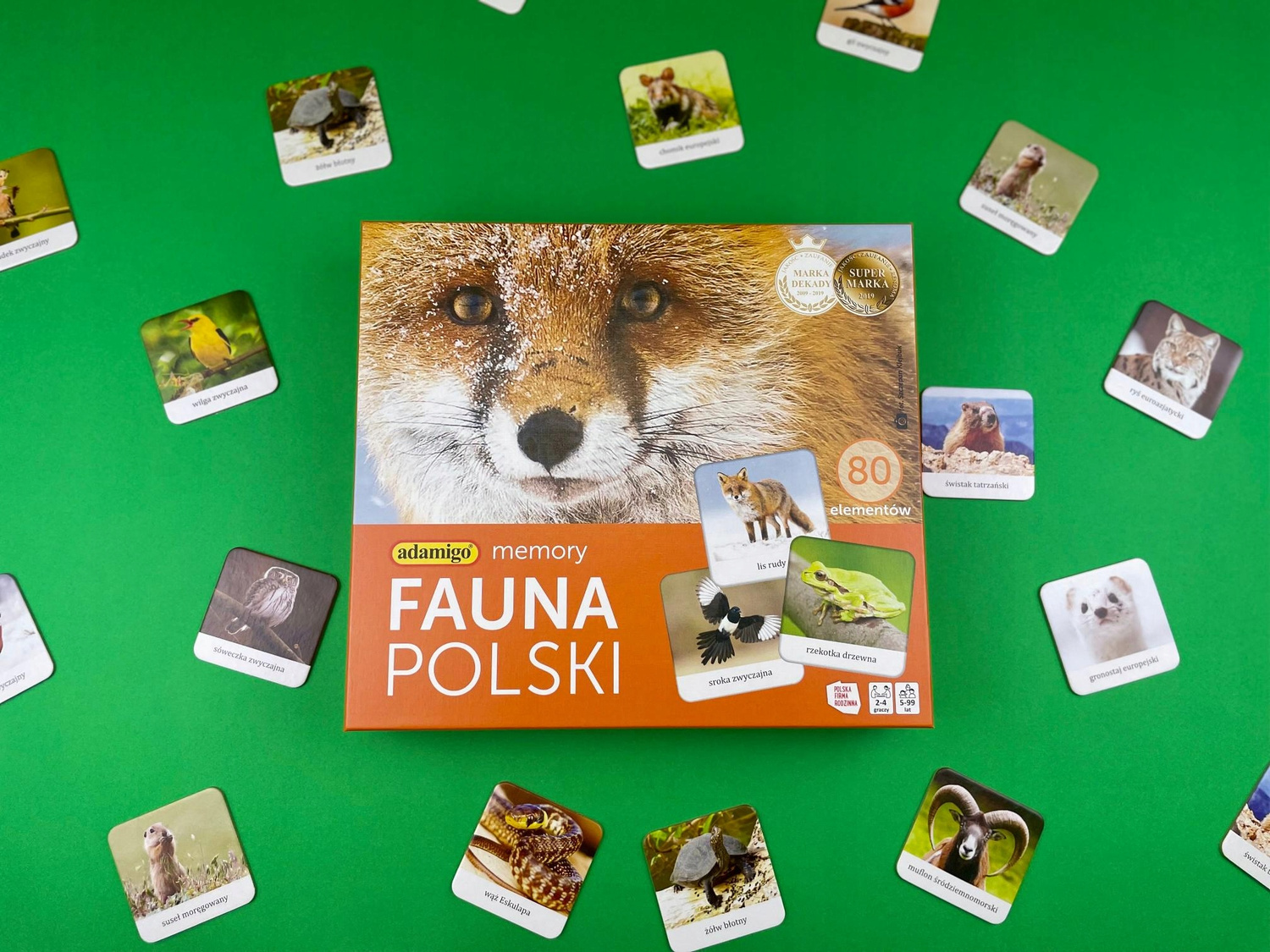 Memory FAUNA POLSKI Gra Pamięciowa Dla Dzieci Pamięć 5+ Adamigo 07738_3