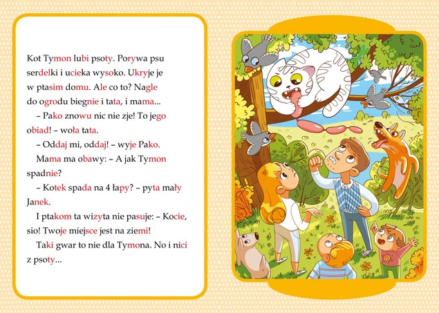 Moje Czytanie SYLABOWE Książeczka Edukacyjna Monika Ślizowska 6+ Skrzat_5