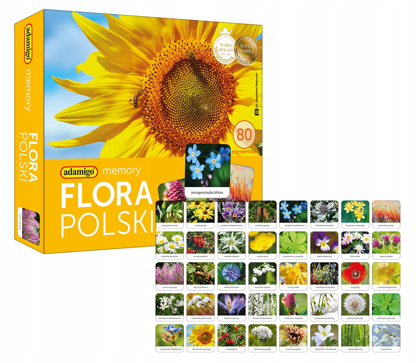 Memory FLORA POLSKI Gra Pamięciowa Dla Dzieci Pamięć 5+ Adamigo 7851_1