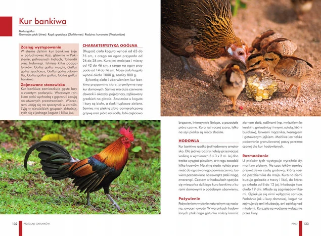 Atlas ZWIERZĄT DOMOWYCH Zwyczaje Wygląd Potrzeby Wymagania SBM_4