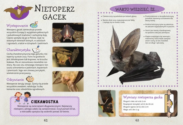 Moja Encyklopedia ZWIERZĄT Natalia Kawałko SBM_4