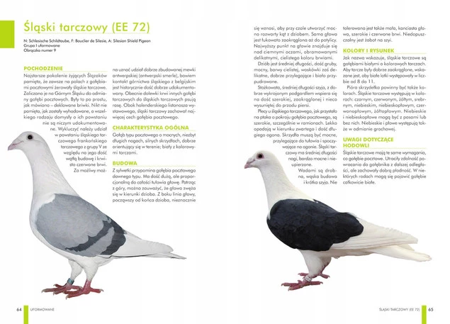 Atlas GOŁĘBI Polskie Rasy Opis 63 Gołębi Manfred Uglorz SBM_3