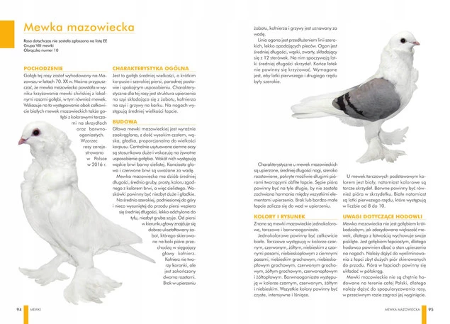 Atlas GOŁĘBI Polskie Rasy Opis 63 Gołębi Manfred Uglorz SBM_4