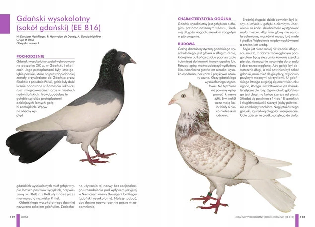 Atlas GOŁĘBI Polskie Rasy Opis 63 Gołębi Manfred Uglorz SBM_5