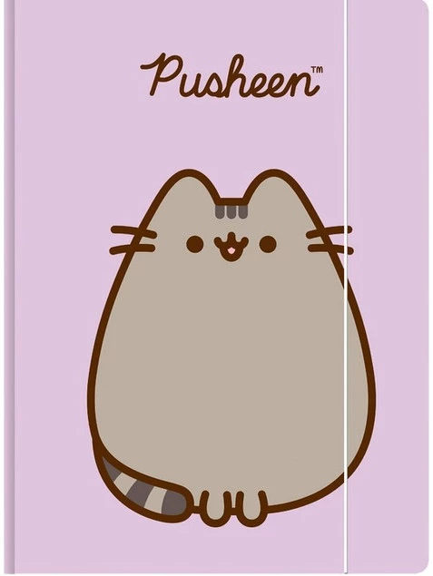 TECZKA Z GUMKĄ A4 300 g/m2 KOT PUSHEEN_1