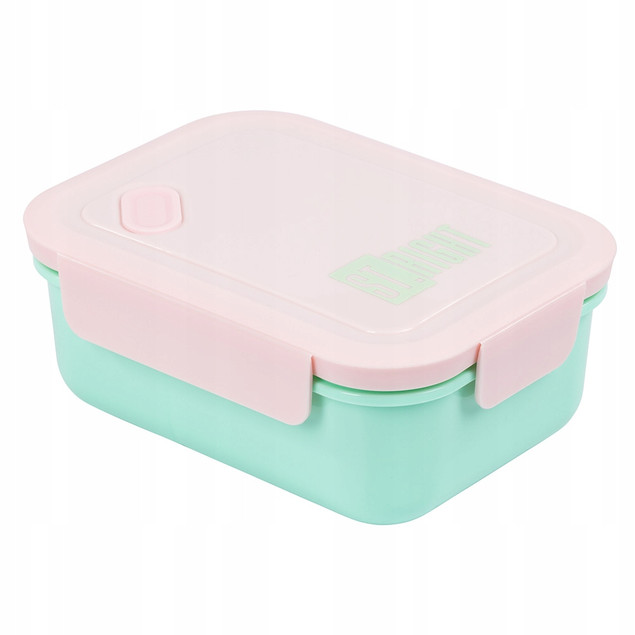 ŚNIADANIÓWKA LUNCHBOX pojemnik na kanapki obiad szkoły przegródkami_1