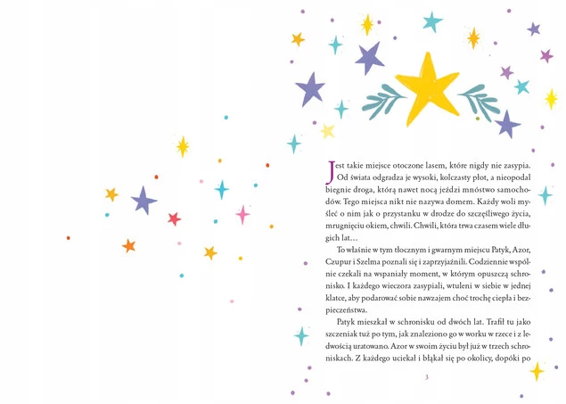 Święty pan Mikołaj Skrzat Książeczka Świąteczna Święta Mikołajki Gwiazdka_4