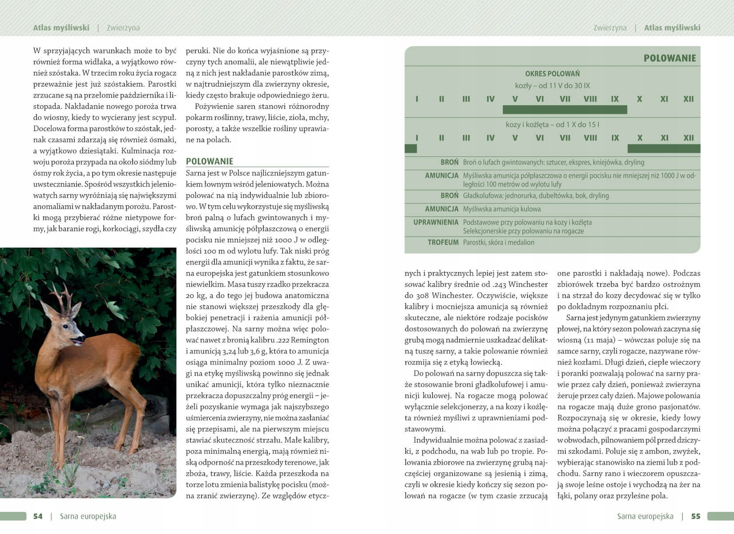 Atlas Myśliwski Zwierzęta Łowne Piotr Gawin, Dorota Durbas-Nowak SBM_3
