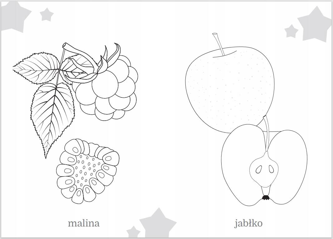 Kolorowanka Maluszkowe Malowanie Owoce 2+ Skrzat_3