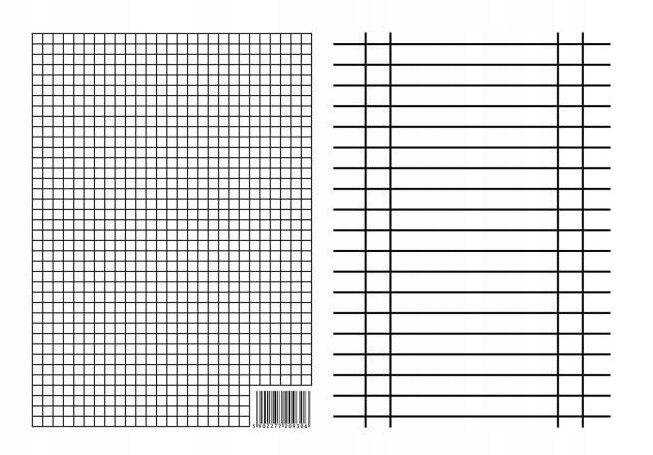 Liniuszek A5 Dwustronny KRATKA LINIA Pomoc Szkolna Interdruk 09306_1