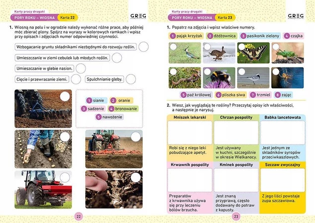Drugaki Karty Pracy W Szkole I W Domu Klasa 2 SP Greg_3