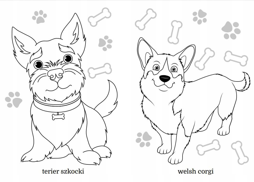 Kolorowanka Maluszkowe Malowanie Małe Pieski Rasowe 2+ Skrzat_3