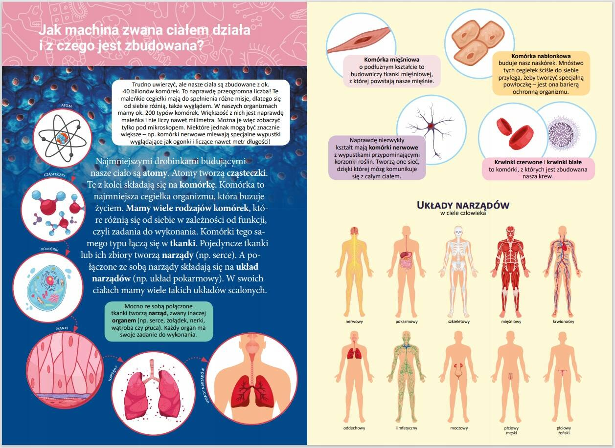 Mała Encyklopedia Moje Ciało Fakty Ciekawostki Monika Ślizowska 5+ Skrzat_4
