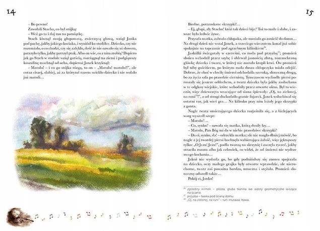 Janko Muzykant Lektura Kolorowa Klasyka Henryk Sienkiewicz BR Greg_2