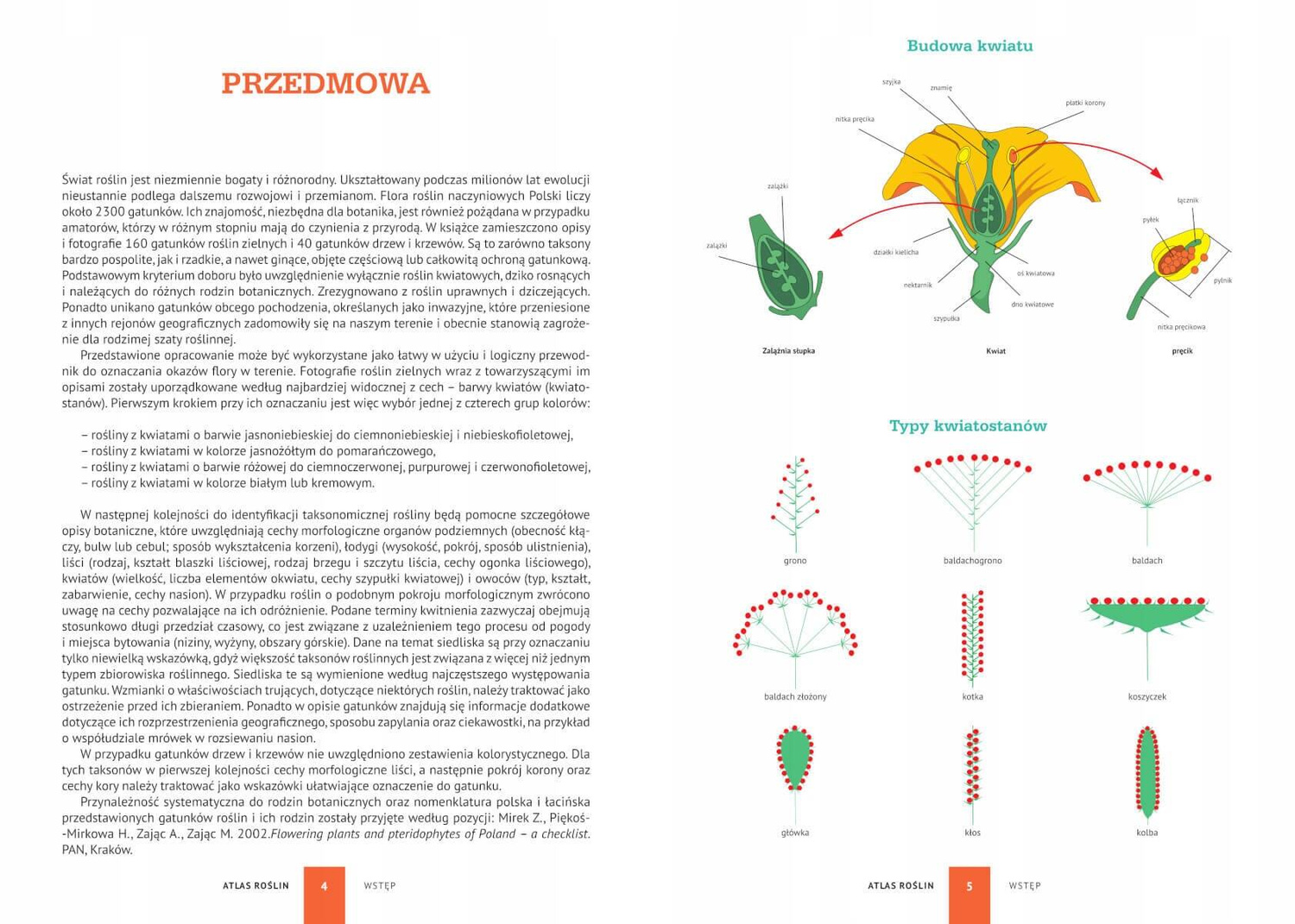 ATLAS ROŚLIN 200 Polskich Gatunków Aleksandra Halarewicz TW SBM_2