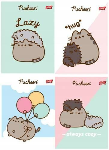 4x PUSHEEN ZESZYT SZKOLNY A5 32 Kartki Kratka KOTOROŻEC_1