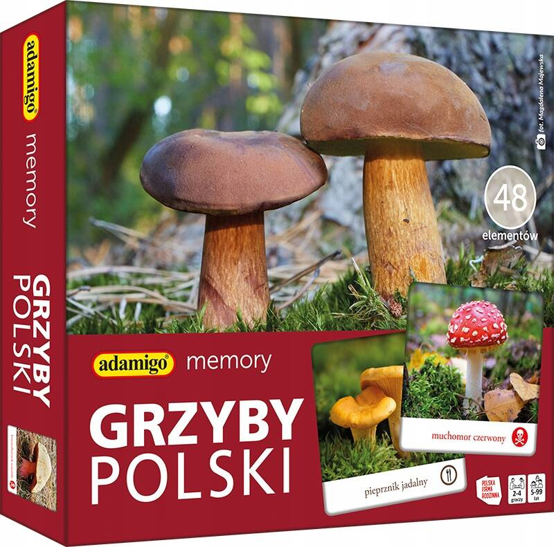 Gra Memory Grzyby Polski Pamięciowa Dla Dzieci Pamięć 5+ Adamigo_1