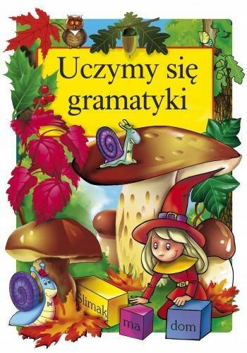 Uczymy Się Gramatyki Książka Edukacyjna Danuta Klimkiewicz 6+ Skrzat_1