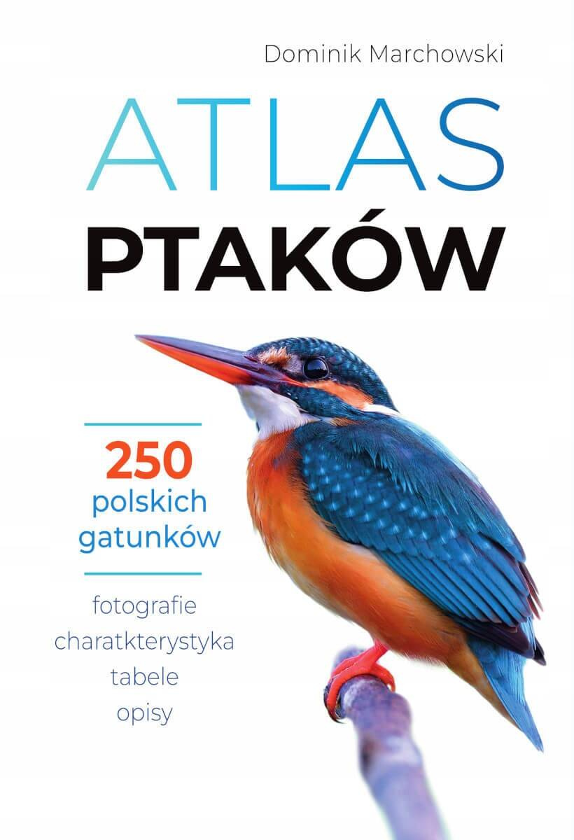 Atlas MOTYLI OWADÓW PTAKÓW Fotografie Opisy SMB (TW)_8