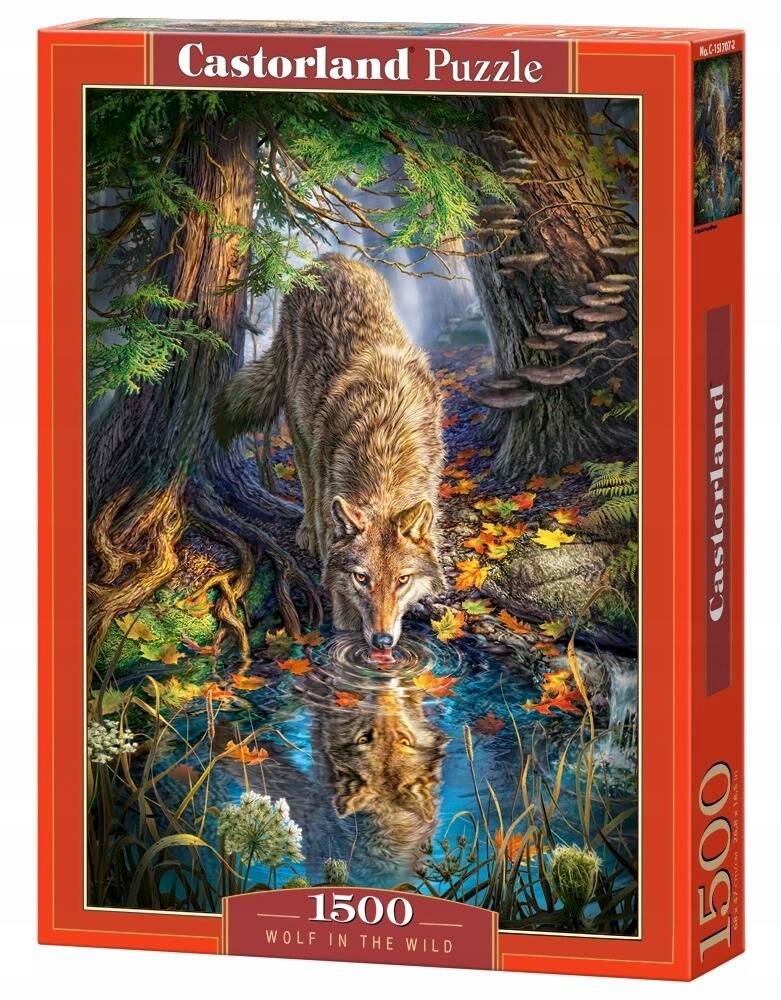 PUZZLE 1500 WILK DZIKIE ZWIERZĘTA NATURA DZIKA NATURA CASTORLAND_2