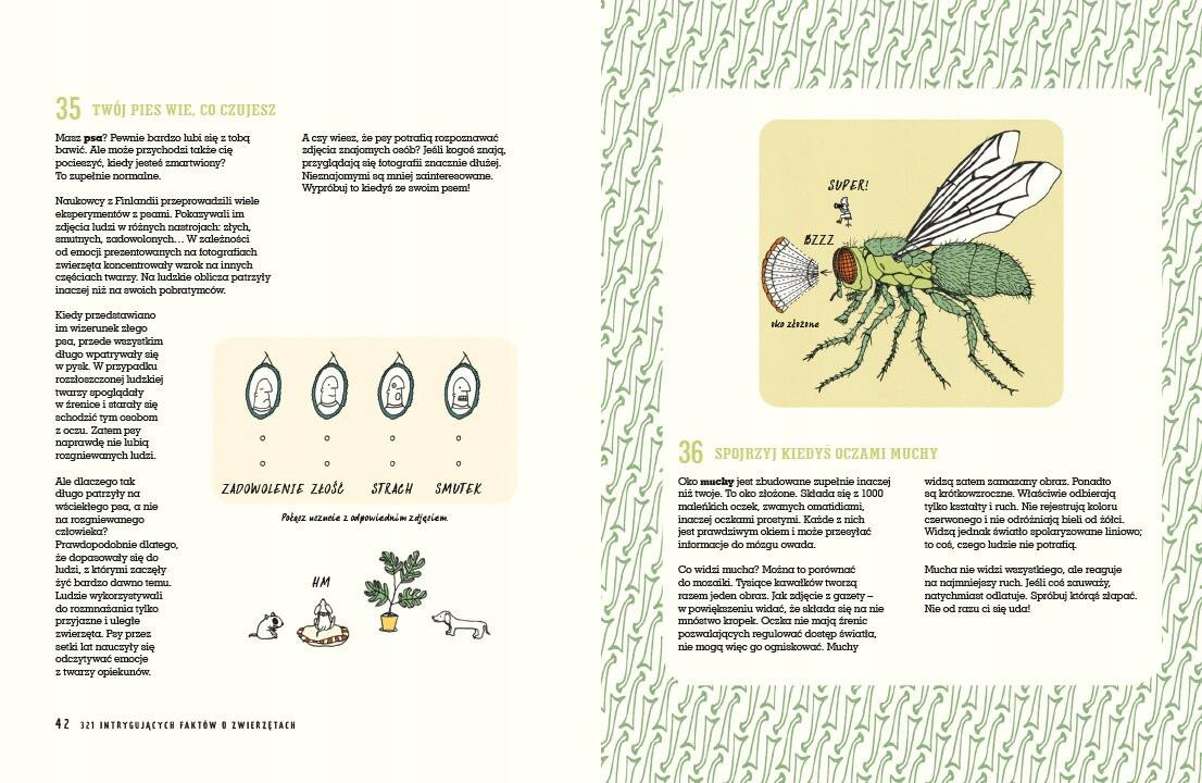 321 Intrygujących Faktów O Zwierzętach Mathilda Masters 6+ Nasza Księgarnia_4