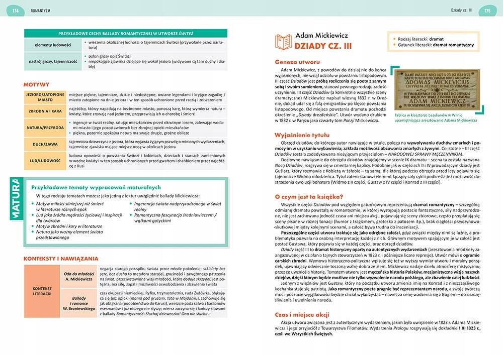 Nowa Matura 2025 Język Polski Pisemny Liceum/Technikum Repetytorium Greg_3