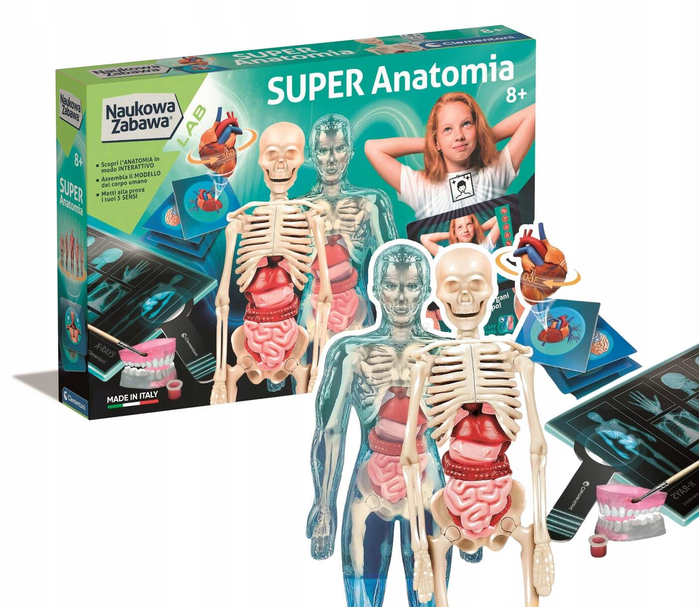 Zestaw Super ANATOMIA CZŁOWIEKA Nauka Zabawa Dla Dzieci 8+ Clementoni_1