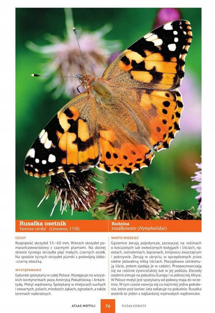 Atlas MOTYLI OWADÓW PTAKÓW Fotografie Opisy SMB (TW)_3