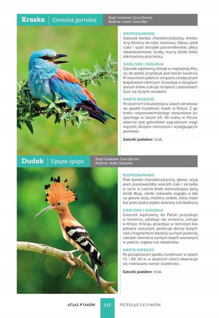 Atlas MOTYLI OWADÓW PTAKÓW Fotografie Opisy SMB (TW)_7