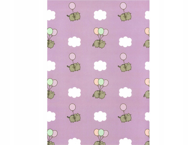 TECZKA Z GUMKĄ A4 300 g/m2 KOT PUSHEEN_2