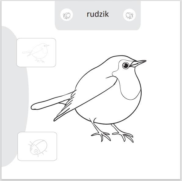 Malowanie Doklejanie Ptaki 16 Naklejek 3+ Skrzat_2