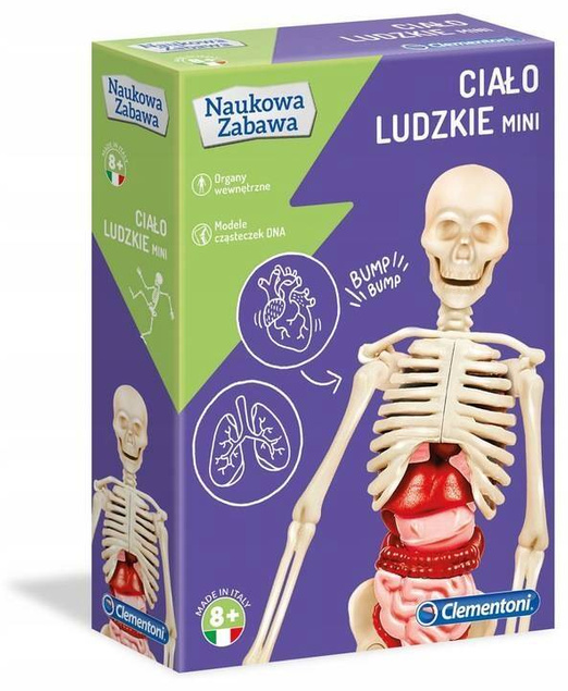 Ciało Ludzkie Model ANATOMIA Naukowa Zabawa MINI 8+ Clementoni 50515_5