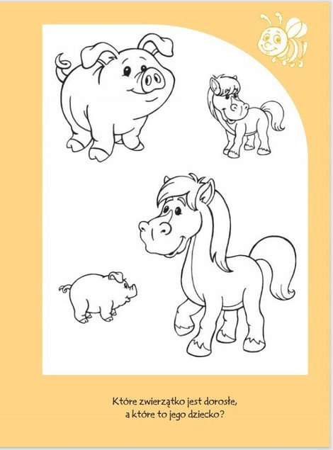 JA SAM 2-Latek PAKIET 5 Książeczek Edukacyjnych Z Naklejkami 2+ Skrzat_5