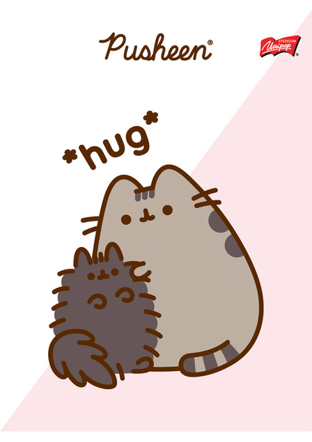 4x PUSHEEN ZESZYT SZKOLNY A5 32 Kartki Kratka KOTOROŻEC_2