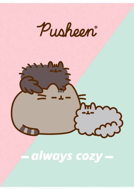 PUSHEEN ZESZYT SZKOLNY A4 32 Kartki Kratka KOTOROŻEC_1