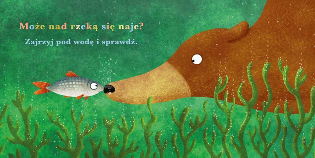 PAKIET Rok W Lesie + Wiewiórka + Bóbr + Borsuk +Niedźwiedź Nasza Księgarnia_15