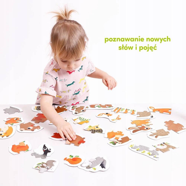 Puzzle Progresywne ZWIERZĄTKA W Lesie 9 Układanek 33 Elementy 2+ CzuCzu_3