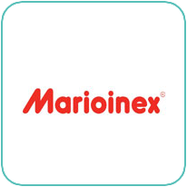42_marioinex