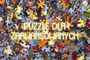 Przegląd najciekawszych puzzli dla zaawansowanych