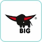 BIG BIG