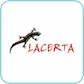 Lacerta Lacerta