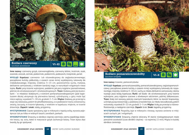Kieszonkowy Atlas Grzybów 180 Gatunków Patrycja Zarawska BR SBM