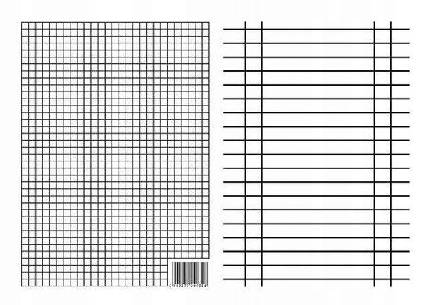 LINIUSZEK A5 DWUSTRONNY KRATKA LINIA (09306)