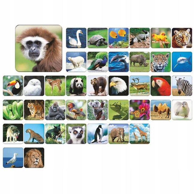 Gra Pamięciowa Memory Zoo Adamigo