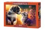 Puzzle 500 Zwierzęta Kotek Piesek Szczeniak Kwiaty 9+ CASTOR