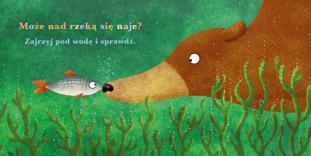 Książka dla najmłodszych Rok w lesie Niedźwiedź Nasza Księgarnia