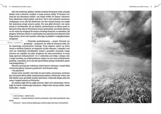 Rozdziobią nas kruki, wrony...