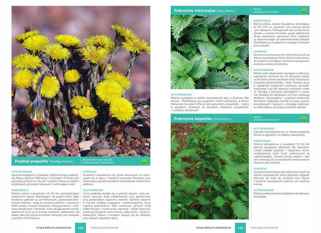 Atlas roślin leczniczych